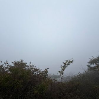 やっぱり何も見えず😕