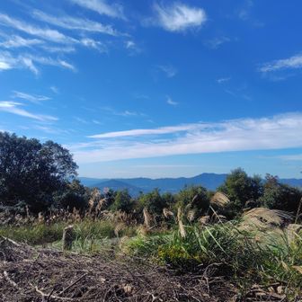 金山山頂。素敵な看板が飛んでなくなってました