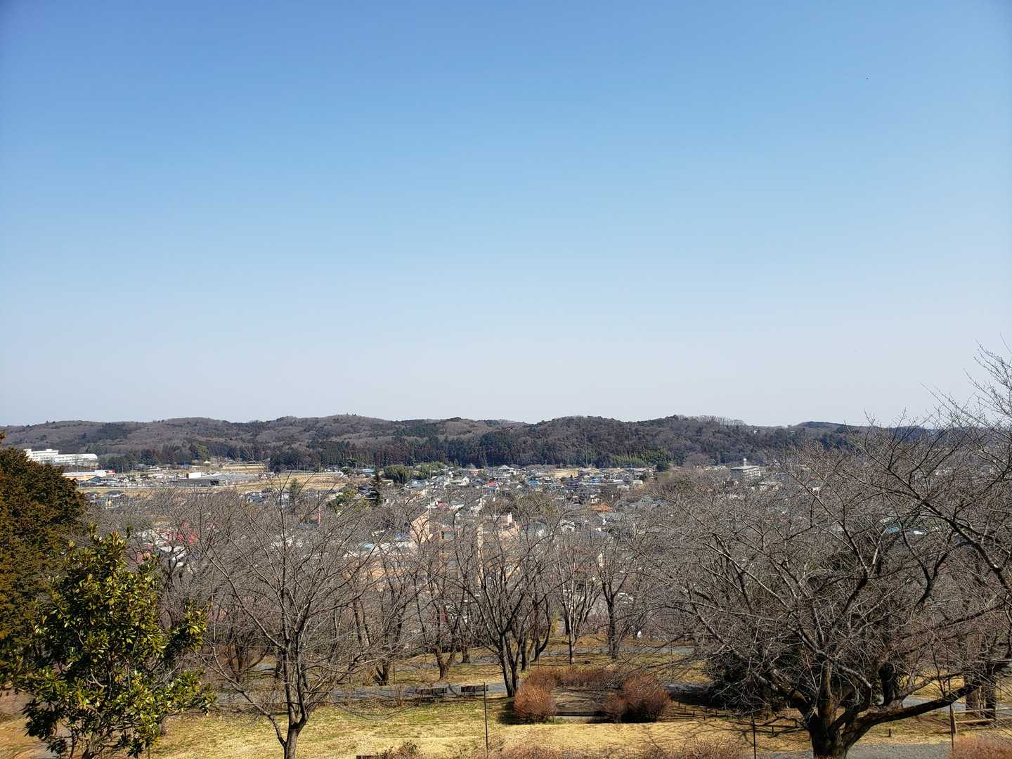 霞んでいるけど天気はヨシ