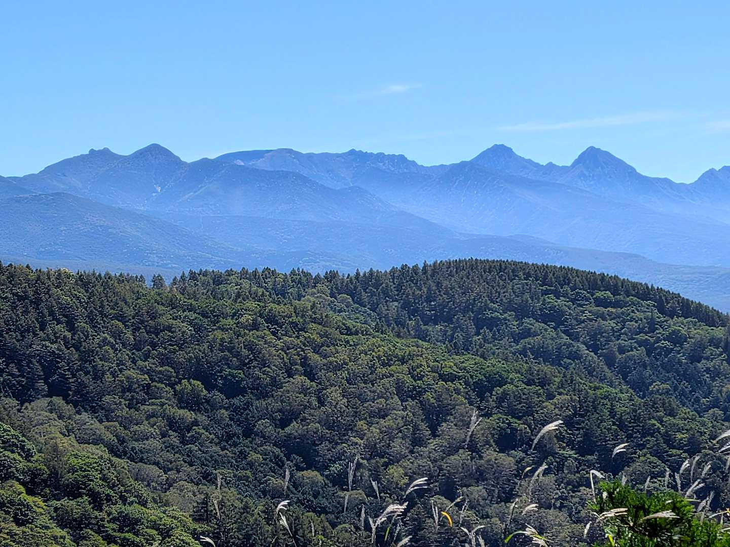 八ヶ岳