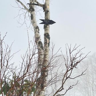 幌滝山への案内あり！