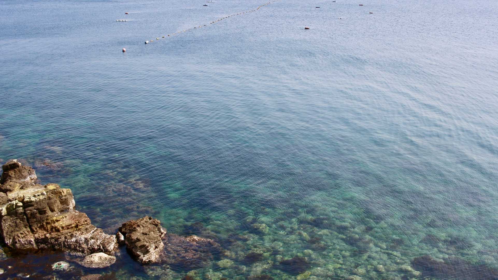 綺麗な海