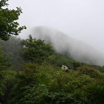 早く下山を促すガス