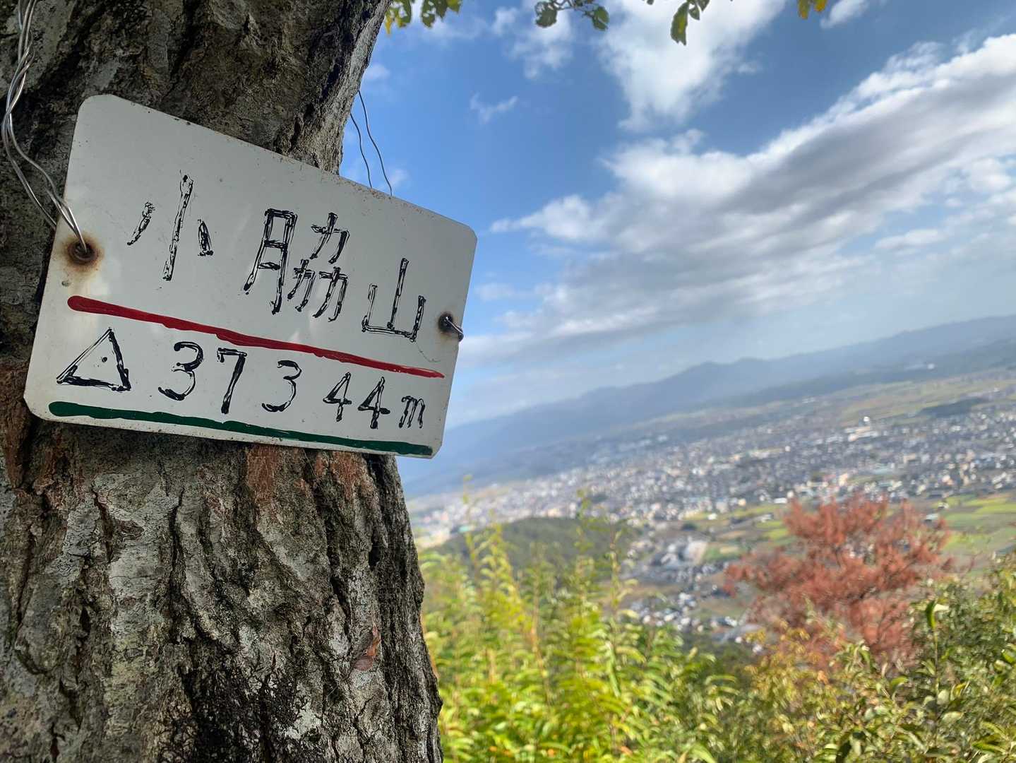 十三仏登山口-小脇山-箕作山-みつくり君休憩所-太郎坊山- 縦走コースの写真