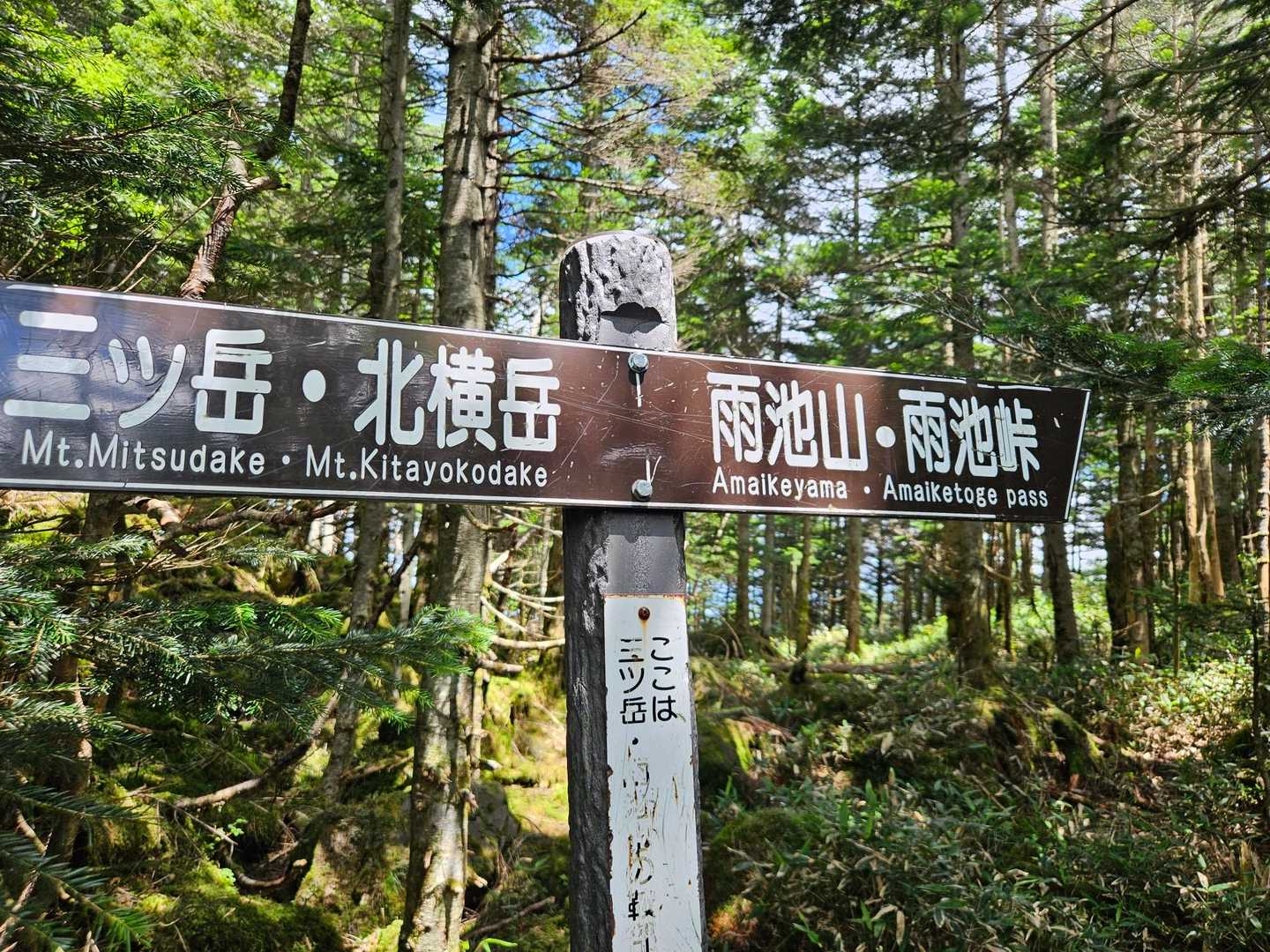 なかなかの、下りだったゎ😅
雨池山へ➡