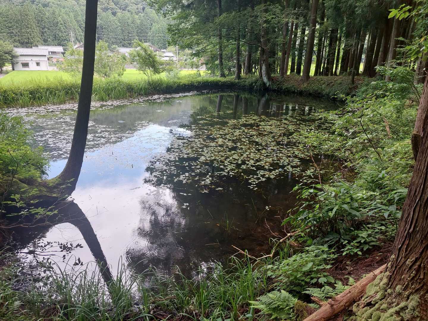駐車場までロード歩き