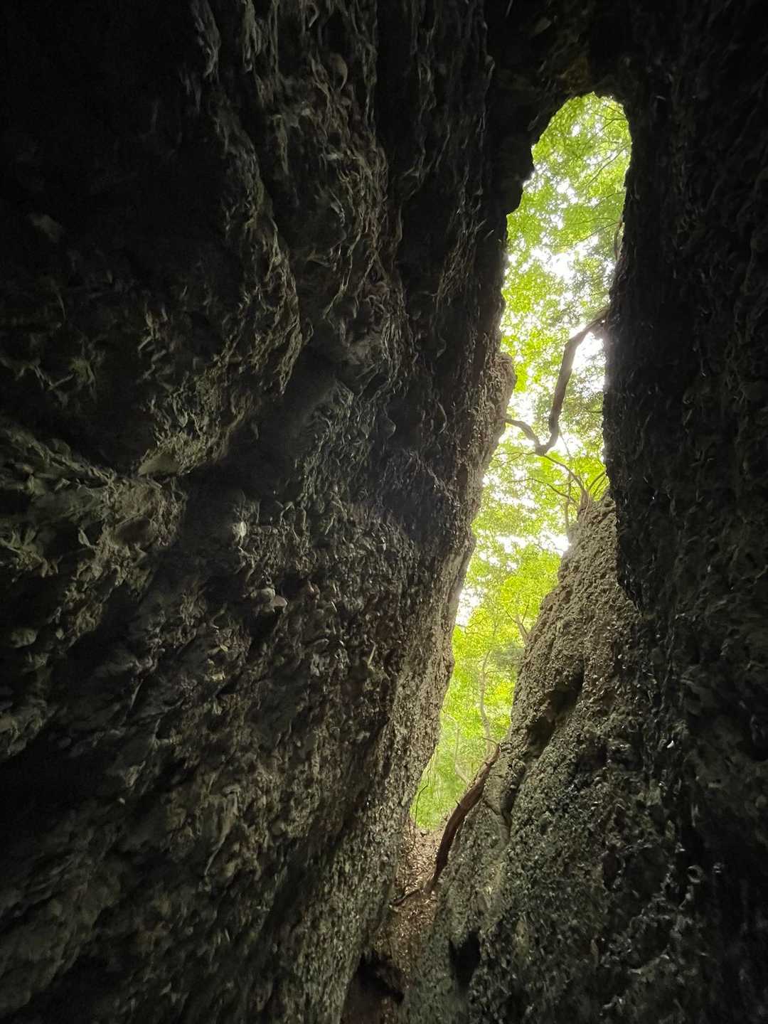 地割を下からから