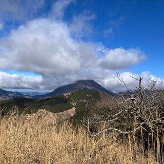 由布岳は雲に隠れてました。
