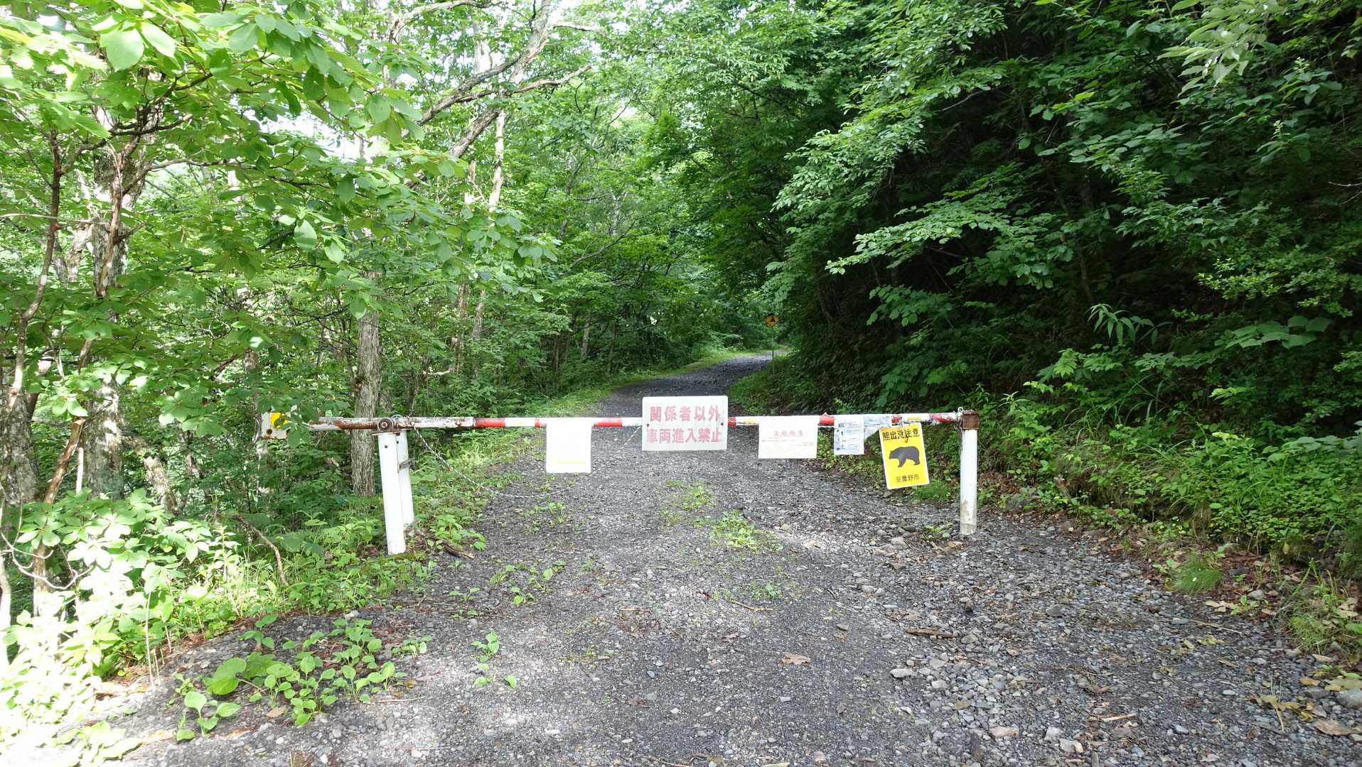 🅿️から林道沿いに少し歩いて登山口へ𖤣𖥧𖥣𖡡𖥧𖤣