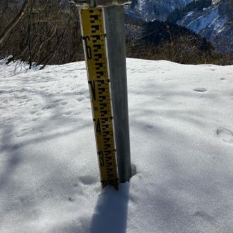 山頂で30cmくらい