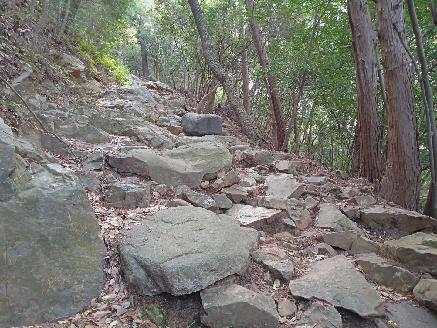 なかなかな道😅
あと少し💪