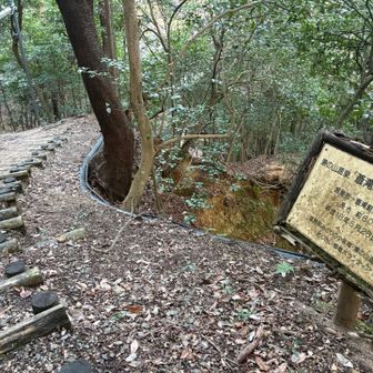 遊歩道を登っていきます