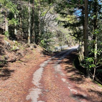 登山口に戻りました　この直前道間違えて無理矢理復帰…気が抜けてました　反省です😓