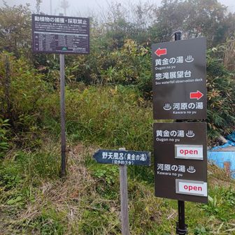 黄金の湯との分岐に到着です。
なおもしばらく歩き、
駐車場🅿️無事着きました。
おつかれさまでした!😊🍀
