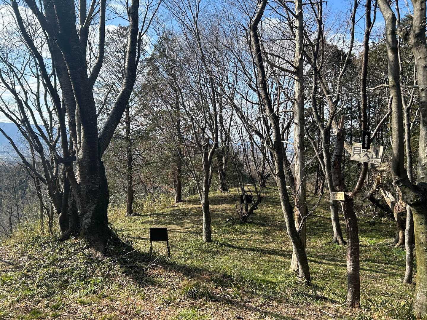 芝生の良い山頂🌱