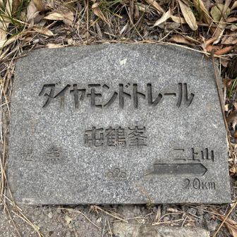 ダイトレはしてませんが記念に