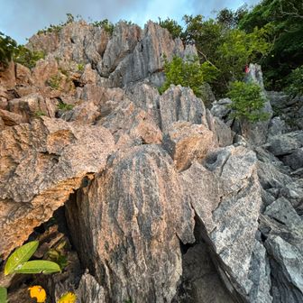 左上の方にも行けますが、今回は右上に行きます