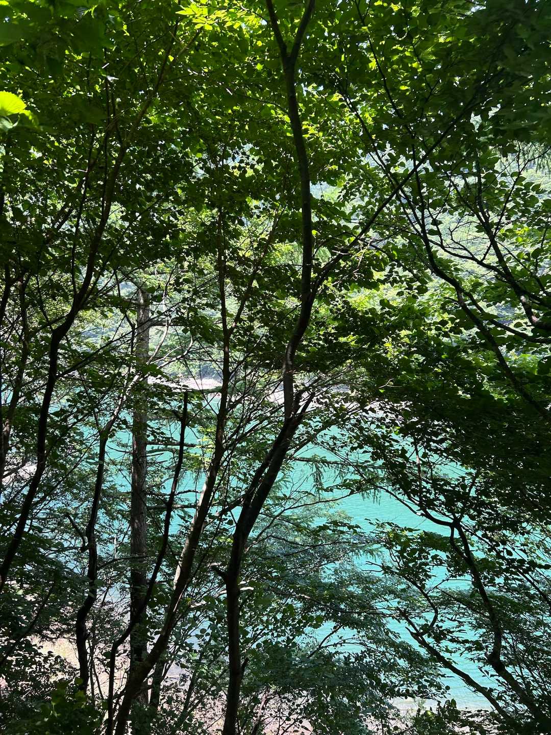 深山湖が青くてすごく綺麗でした😍