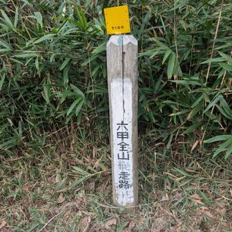 六甲全縦走路