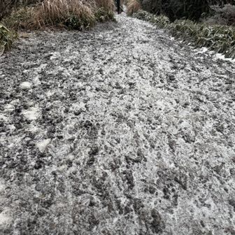 グチョグチョ、ベチャベチャがカッチカチで歩きやすい