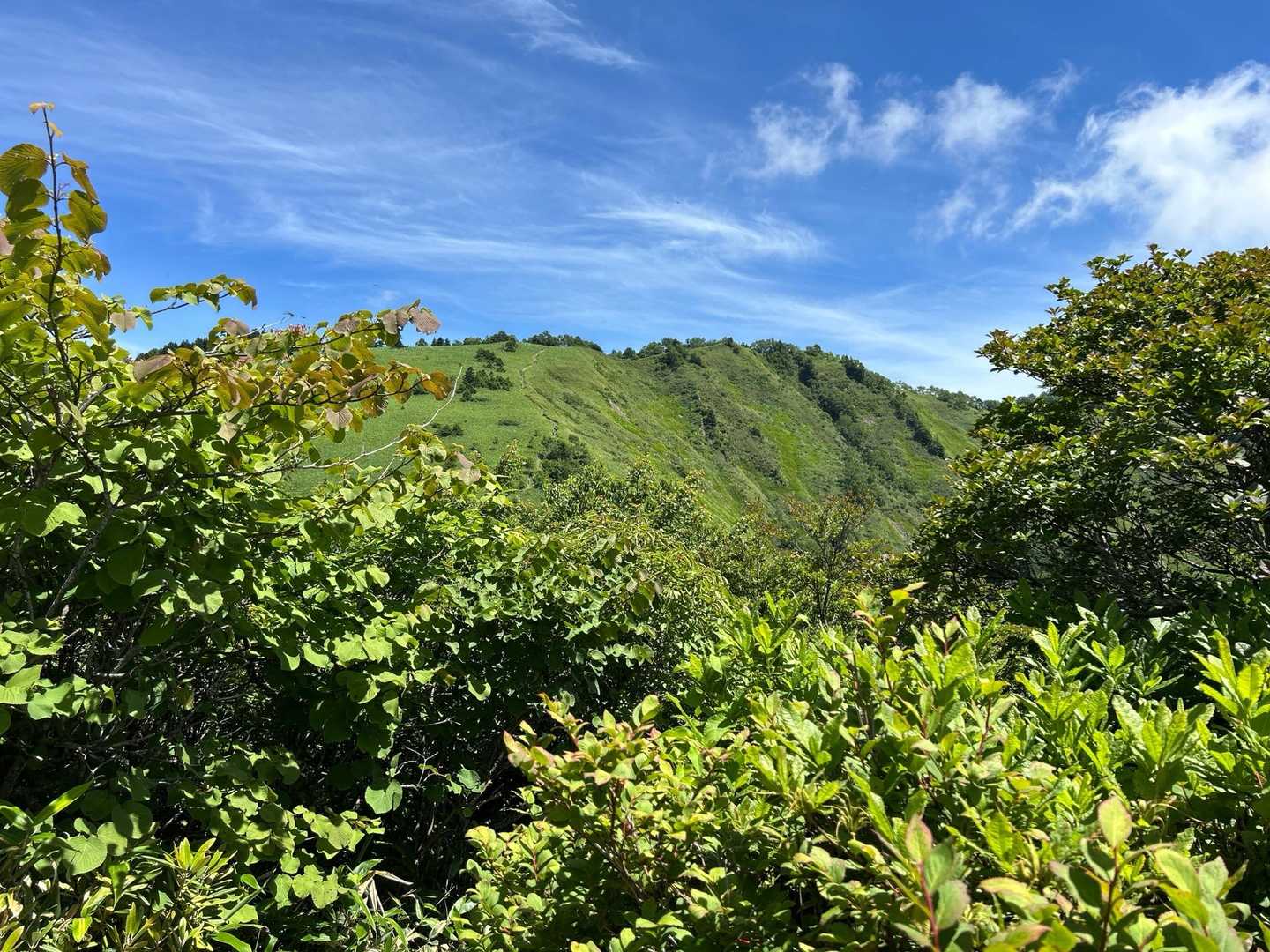 あそこまで行くんだねー💦
日差し強く暑いのです🥵