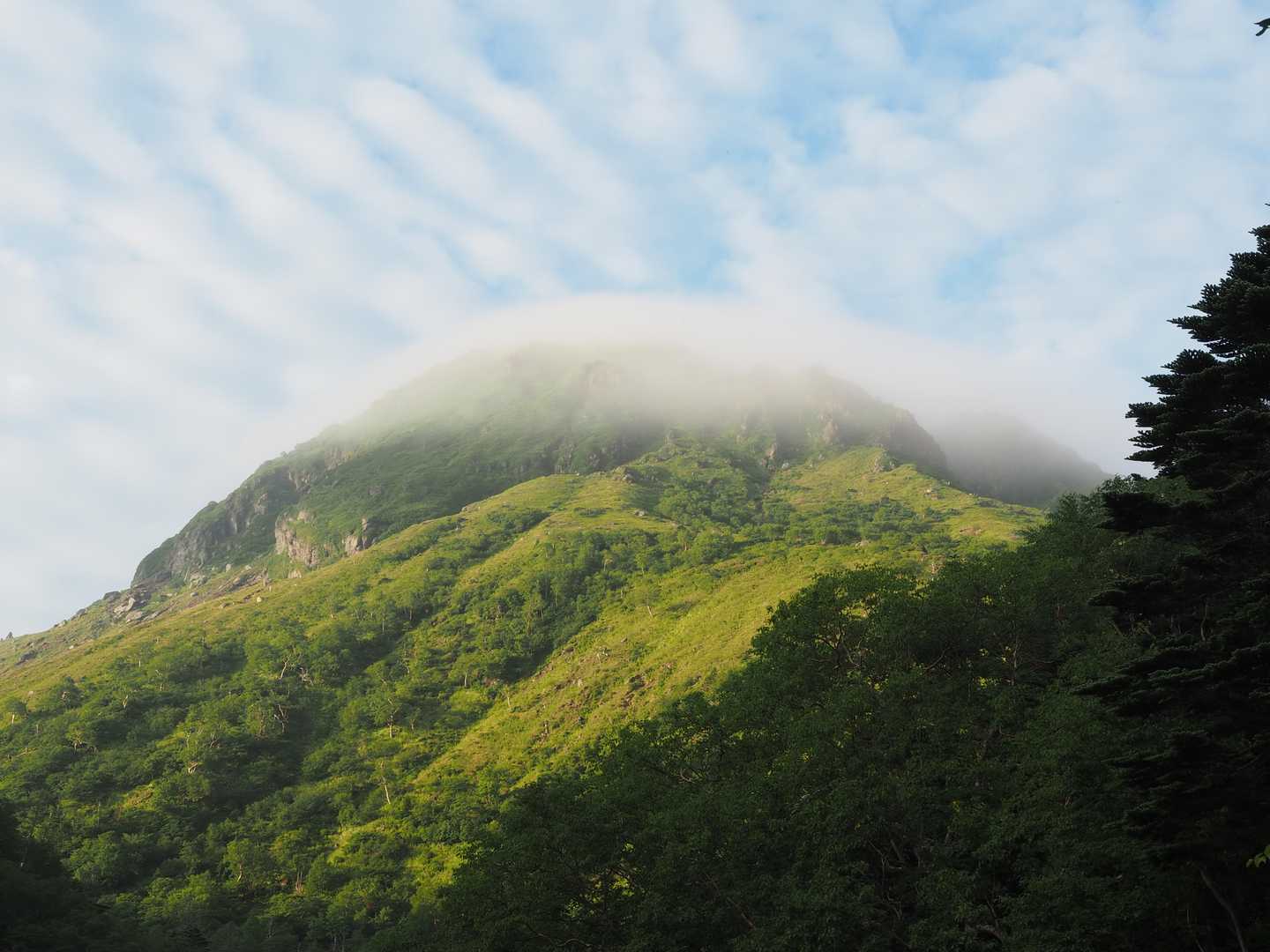 おっと山頂はガスってるっぽい。きれいに笠かぶってます