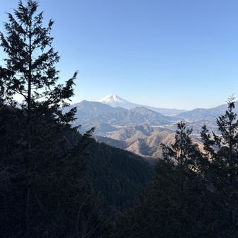 おー。さすが👍