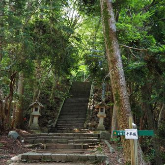 四の丸の突きあたりに来ると、三の丸に続く階段があります。
左下の千早本道から逸れて、ここまで登れる登山道と合流します。