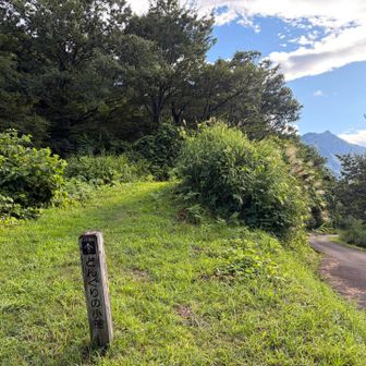 こちらも山道へ👈

どんぐりの小径🌰
