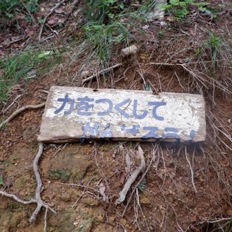 山登りの事だけに聞こえませんでした。
ありがとうございます。頑張ります💪