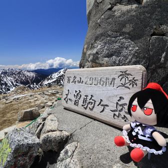 山頂着いた！