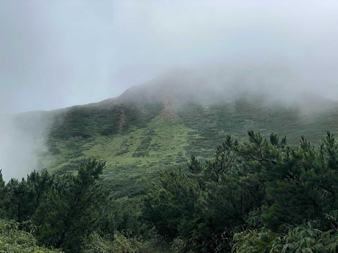 道は乾いていますが霧雨🌧️ガスガスで山様⛰️ほ殆ど見えず