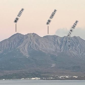 やっと使い方がわかった🤔