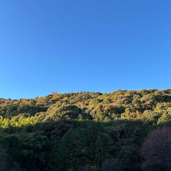 今日も良いお天気☀️
来週は寒なるってね