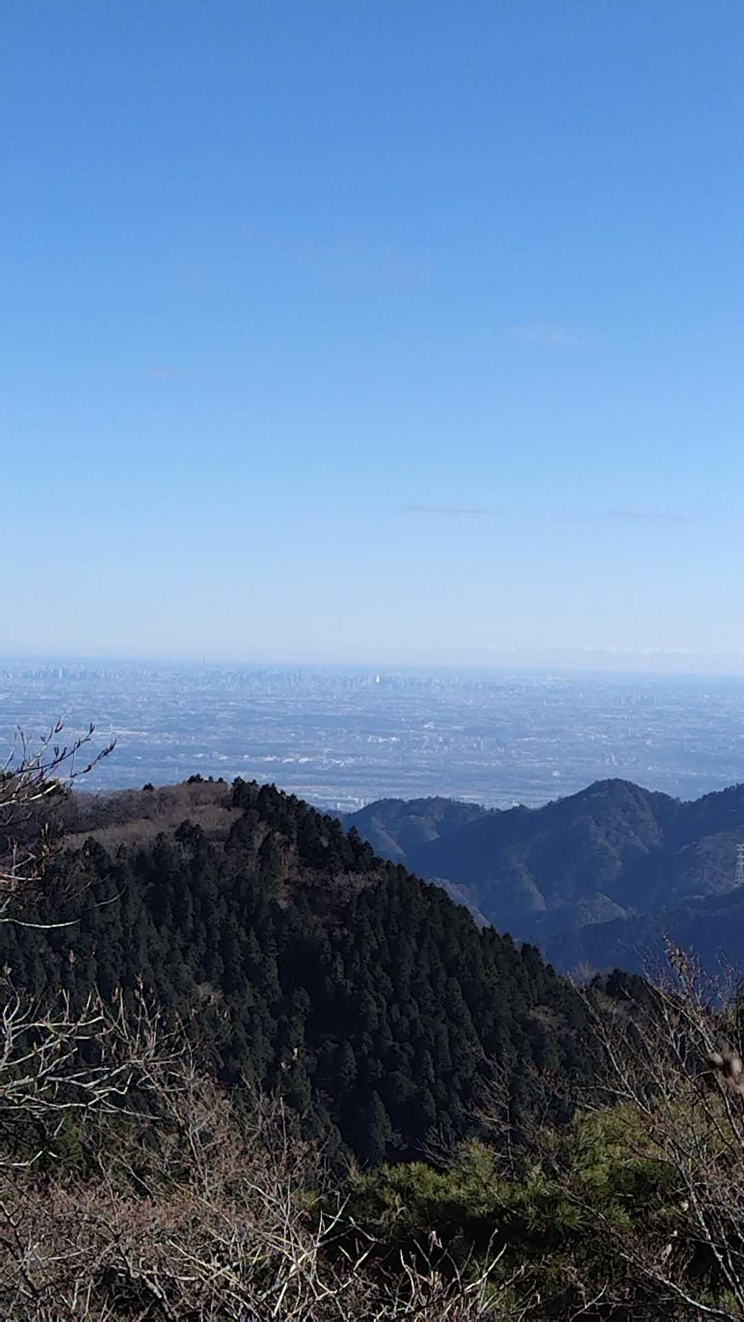 おそらくスカイツリーが見えてる