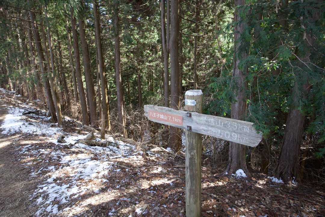 奥高尾〜裏高尾縦走（陣馬山・堂所山・富士見台・駒木野） の写真 39