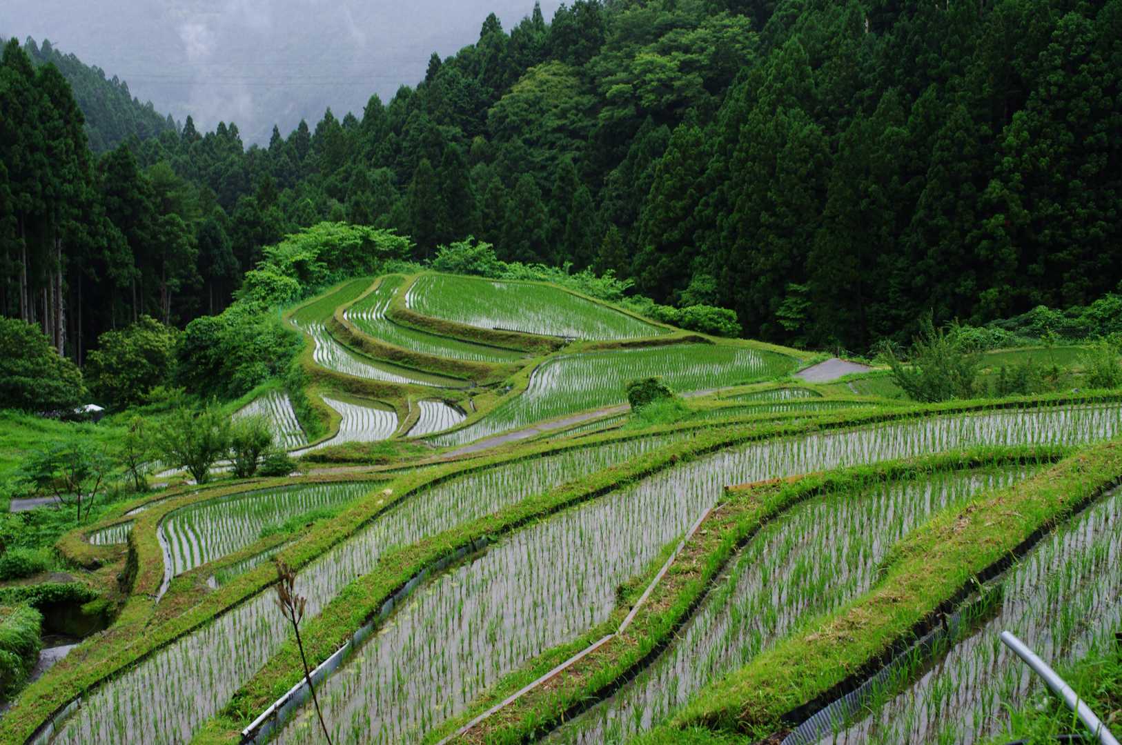 稲が実ってるときにも訪れたい🌾