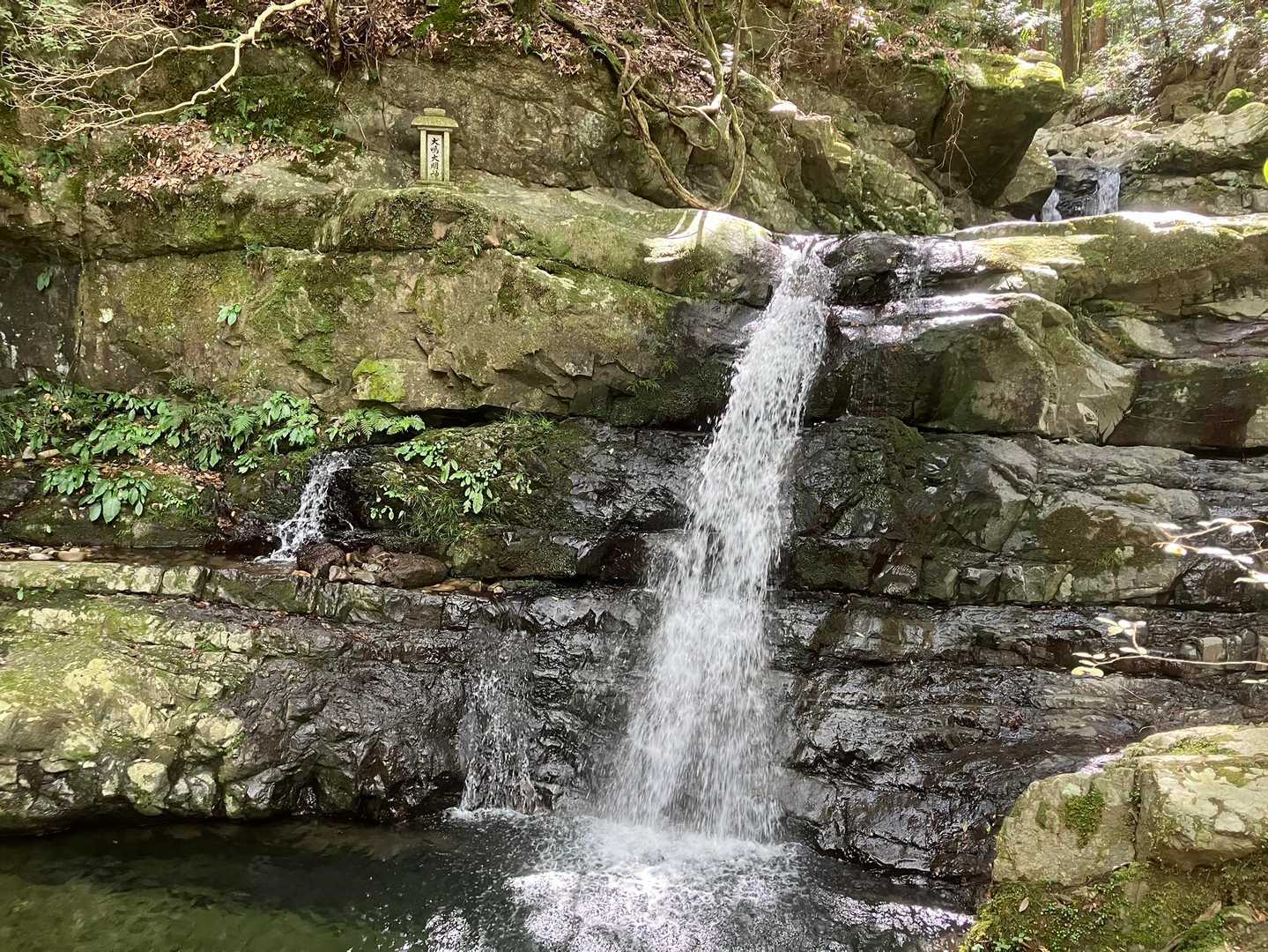 七宝龍寺本堂-経塚権現山登り口-燈明ヶ岳 往復コースの写真