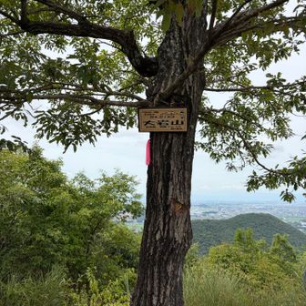 今日、３つ目のピーク大岩山