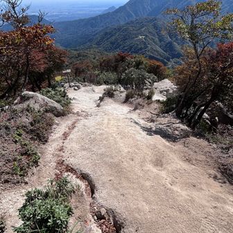 鈴鹿っぽい、釈迦ヶ岳とかと共通する登山道だなーと思った