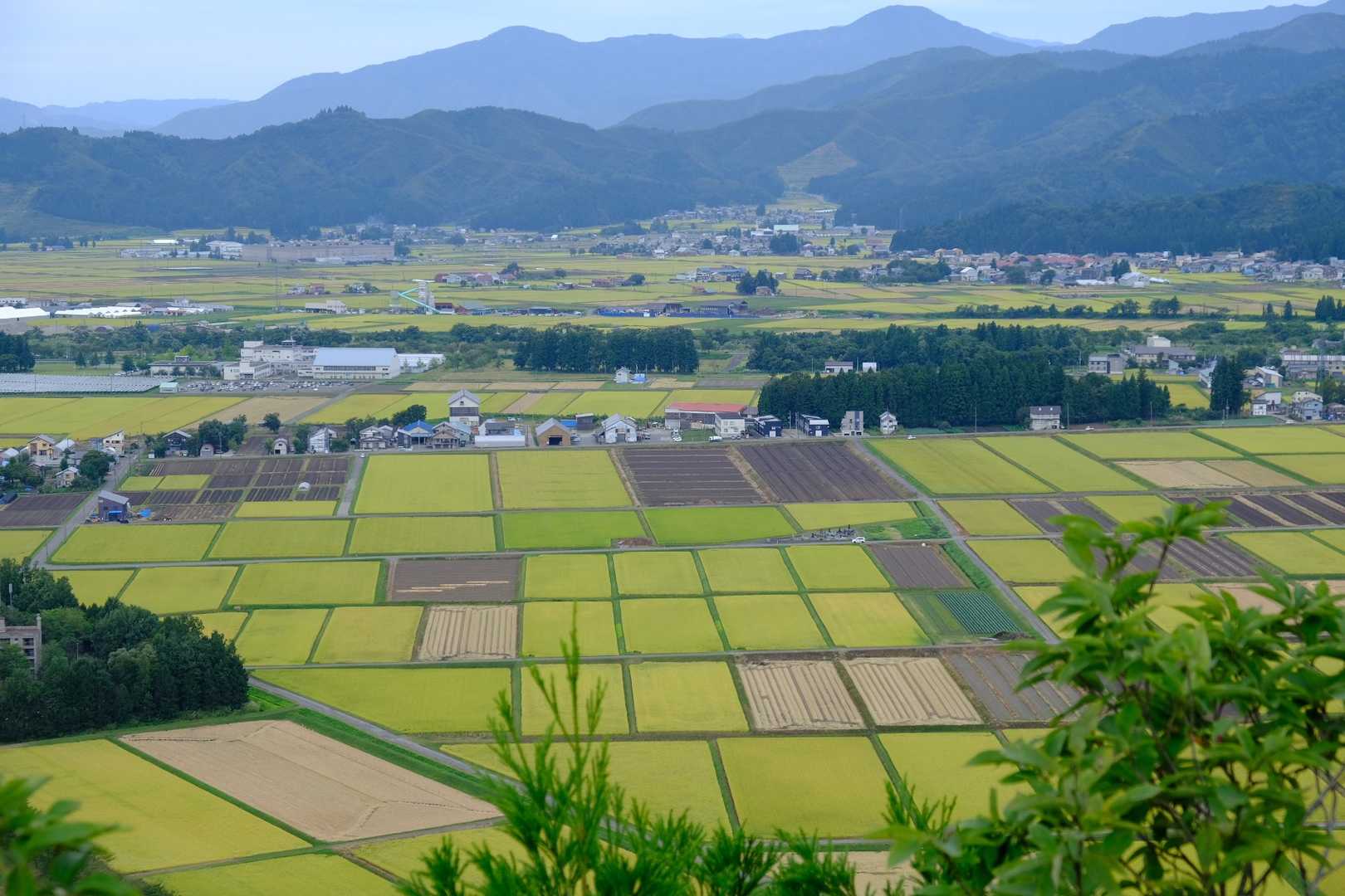 奥は権現堂山、城山、大力山