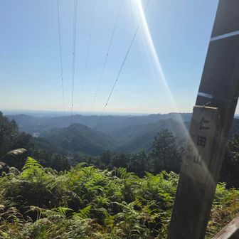 仁田山　いつのも休憩
ひっつき虫はもうすっかり枯れていました