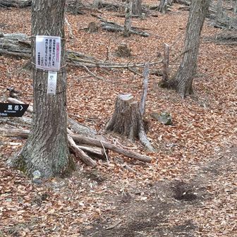これより登山道
