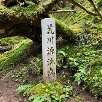 到着🙌
荒川は小さい頃から割と身近な川。