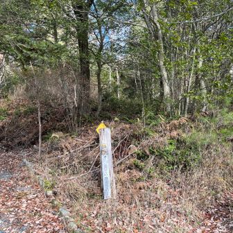 横尾山登山口に降りてきました。