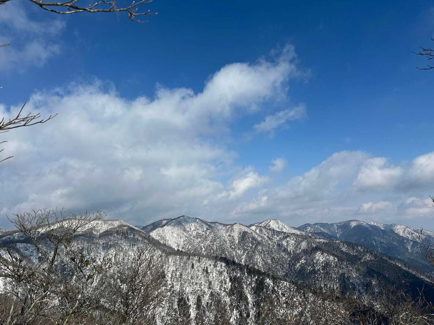 天狗杉-打見山-ロープウェイ山頂駅 往復コースの写真