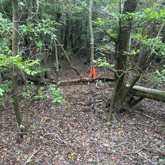 何とか赤いリボンがある道に復帰
