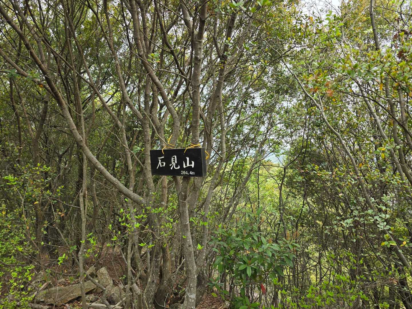 那智山から先の石見山