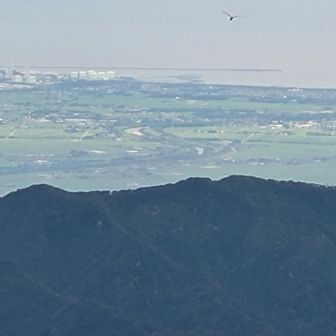 海みえてる？
写真はとれなかったけれど、角田山もうっすらみえました。
