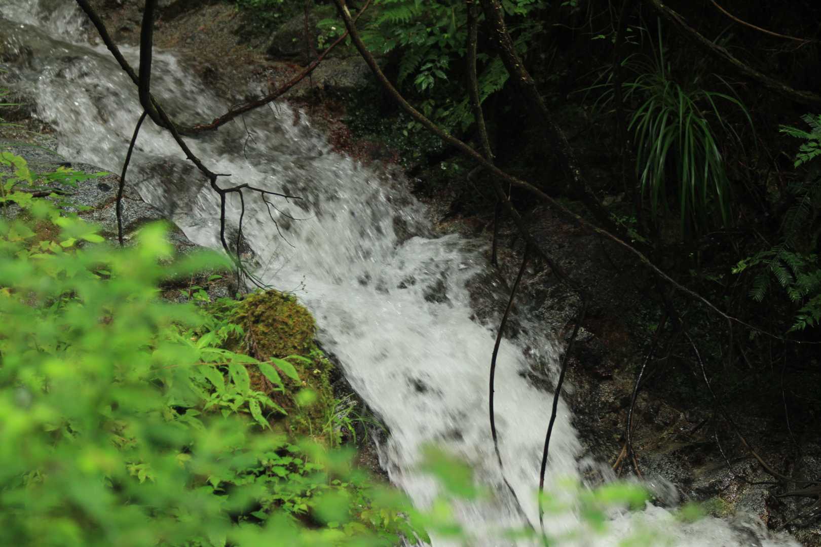 沢沿いの舗装された道を歩く